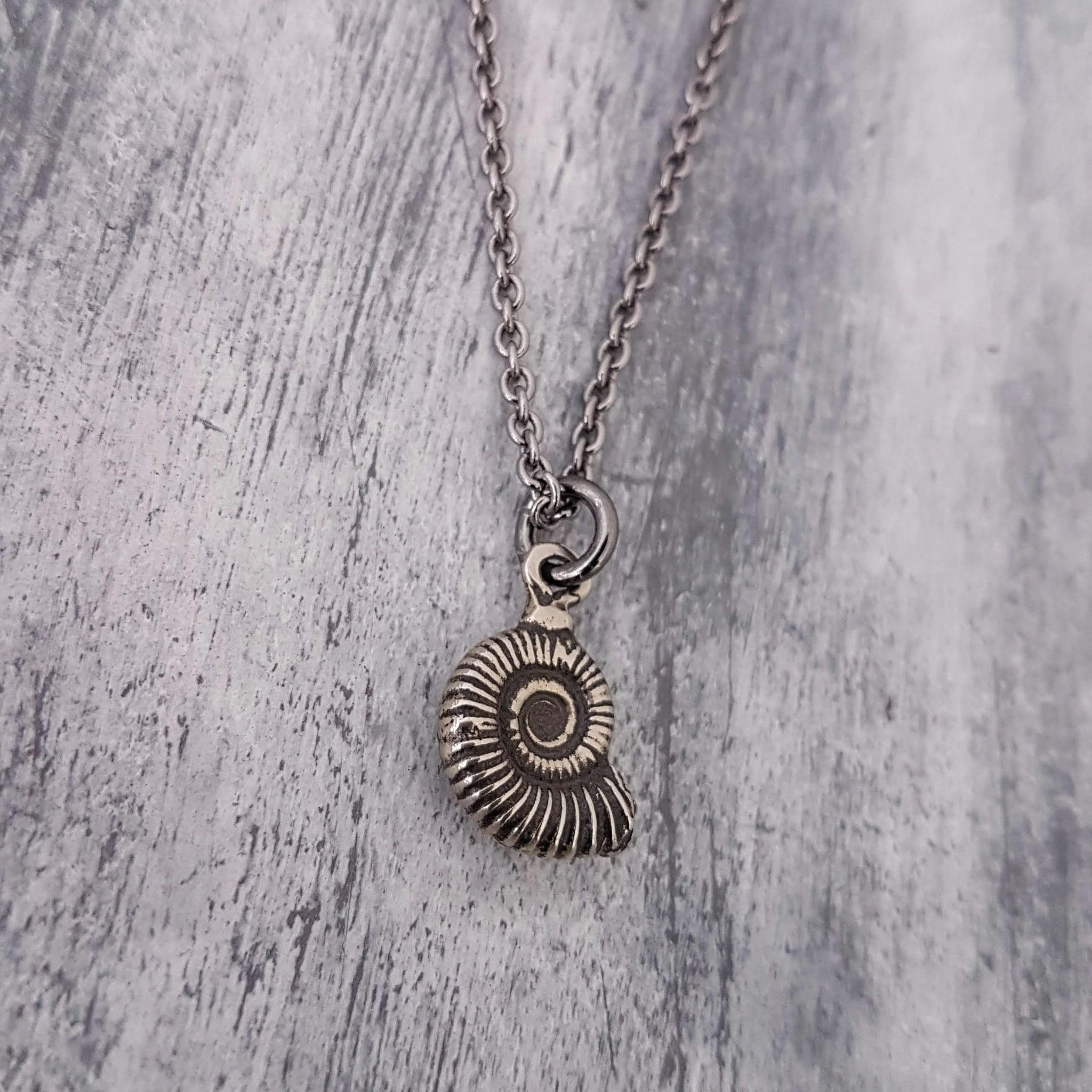 Silver Ammonite Fossil Necklace Tiny Fossil Necklace, Fossil Necklace, Ammonites Charm, Dinosaur Fossil Jewelry, Nautilus Necklace